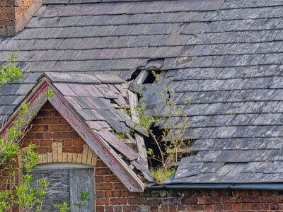 Professional emergency water extraction services services in New York